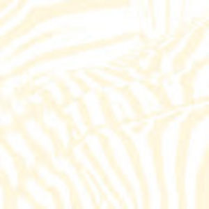 Meet your Posher, Celina